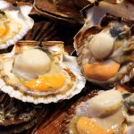 Épisode 2 : la coquille Saint-Jacques, légendaire produit de fêtes