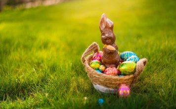 L’oeuf, la poule et le lapin lapin oeuf poule chocolat tasty life magazine