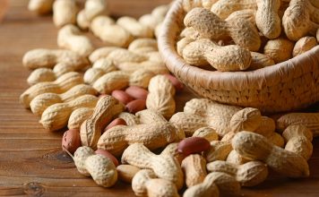 L’arachide, aussi appelée cacahuète, plante du Nouveau Monde arachide cacahuete gousses tasty life magazine