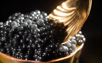 Le caviar, ce mets si rare caviar cuiller tasty life magazine